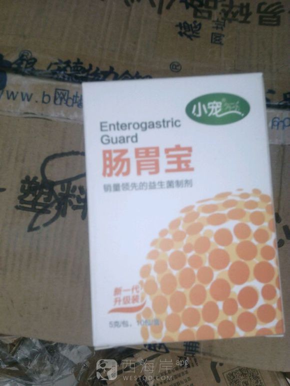 自己家养的狗狗有喜欢的吗？