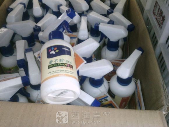 自己家养的狗狗有喜欢的吗？