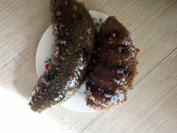 野生动物 观赏观赏