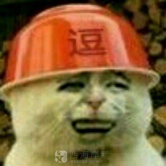 我好像发现了劳务的一件事。