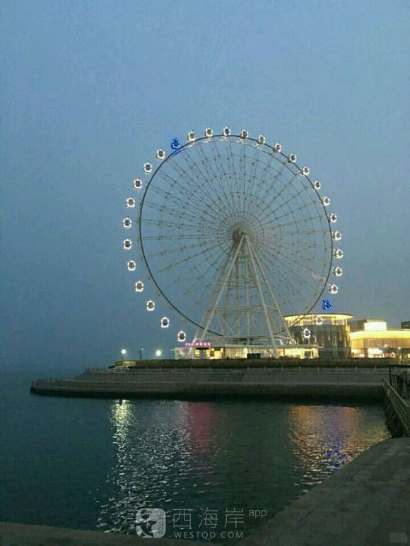 黄岛附近那个海边全是海鸥，别人