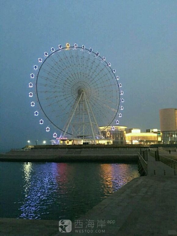 黄岛附近那个海边全是海鸥，别人