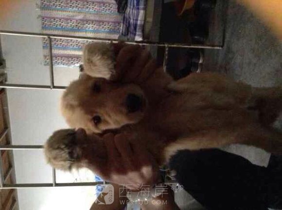 我是开发区万事通！有什么需要跟帖留言！有问必答！