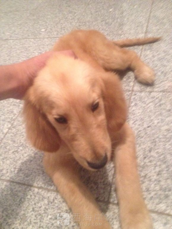 我是开发区万事通！有什么需要跟帖留言！有问必答！