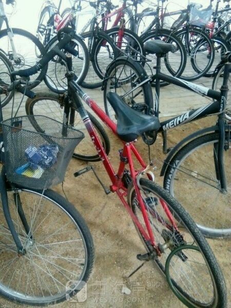 出手自行车，一个普通山地，一个