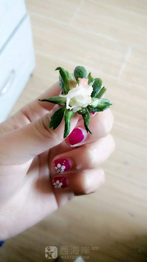 实拍一个草莓被我吃掉的过程??