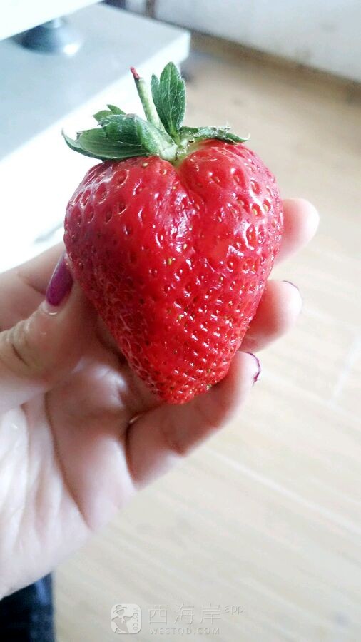 实拍一个草莓被我吃掉的过程??