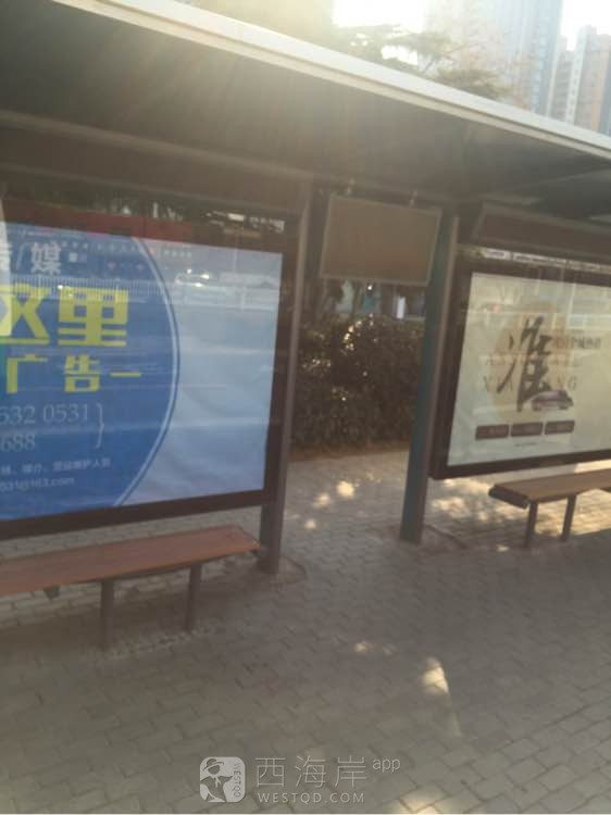 恁谁知道滨海学院站上那个新加的显示屏是干啥的...