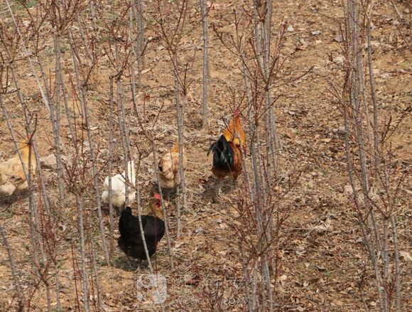 人气不旺啊    说说是什么原因