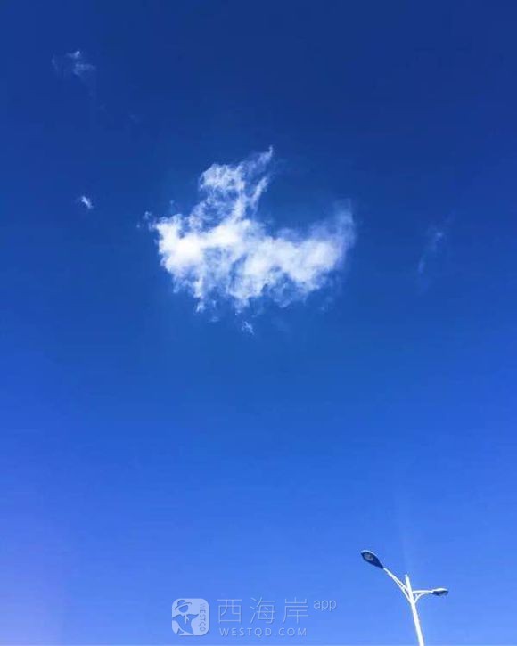 一花一世界 一叶一乾坤