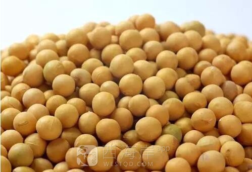 【健康】比肉还营养，还能调三高、清血管，每天吃一点哦～