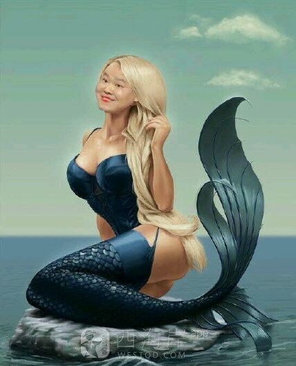 pos机免费送 费率低 有需要的私聊