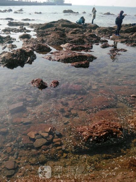 我等的船还不来，我等的人还不明白/