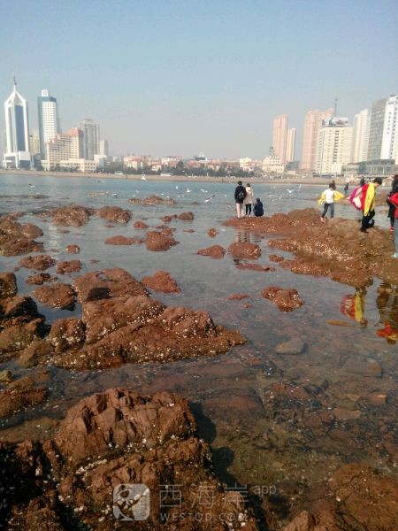 我等的船还不来，我等的人还不明白/