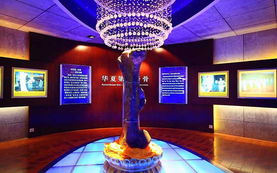 来诸城看大恐龙了哈！！！！！！