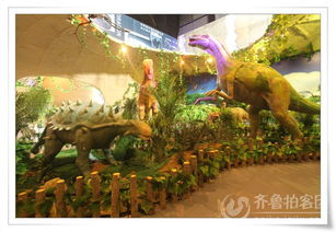 来诸城看大恐龙了哈！！！！！！