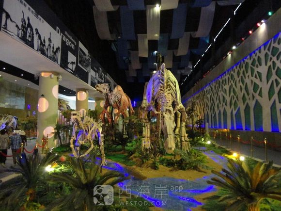 来诸城看大恐龙了哈！！！！！！