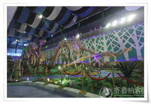 来诸城看大恐龙了哈！！！！！！