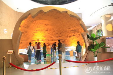 来诸城看大恐龙了哈！！！！！！