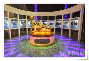 来诸城看大恐龙了哈！！！！！！