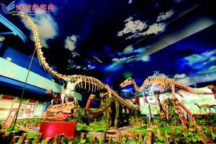 来诸城看大恐龙了哈！！！！！！