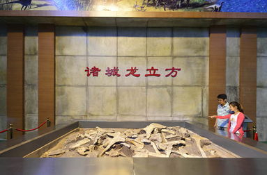 来诸城看大恐龙了哈！！！！！！