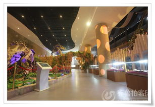 来诸城看大恐龙了哈！！！！！！