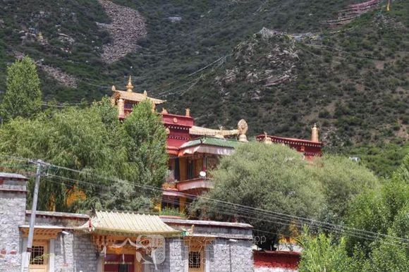 [旅游摄影]一花一世界   一叶一菩提 （西藏行 转）
