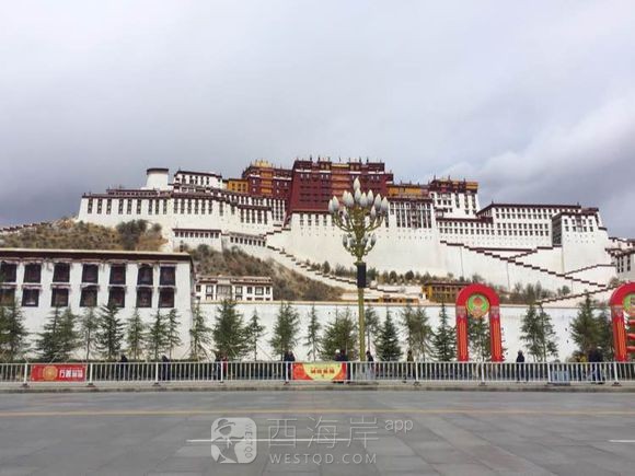 [旅游摄影]一花一世界   一叶一菩提 （西藏行 转）
