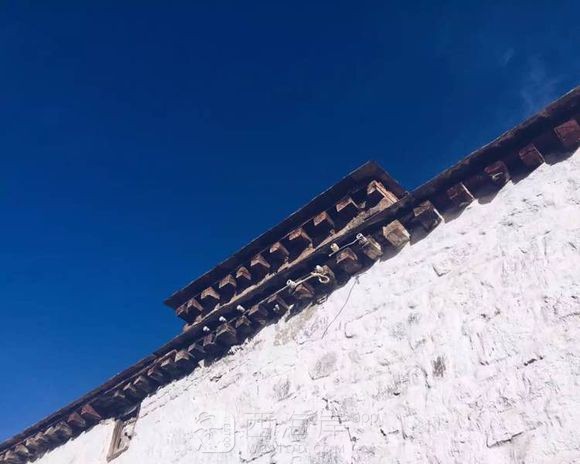 [旅游摄影]一花一世界   一叶一菩提 （西藏行 转）