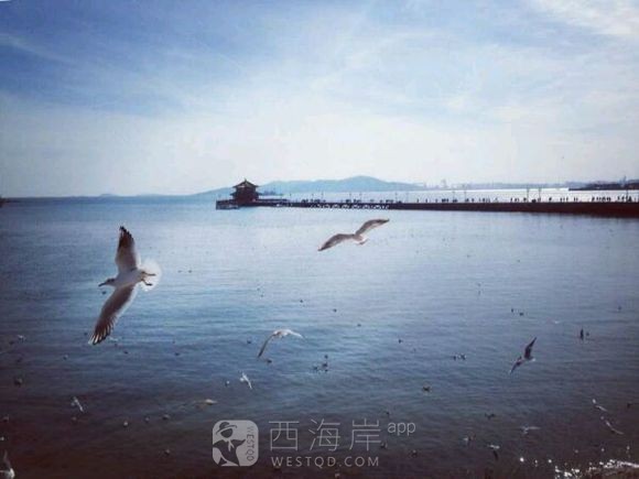 来黄岛好长时间了。求一份干数控的工作。有木有啊