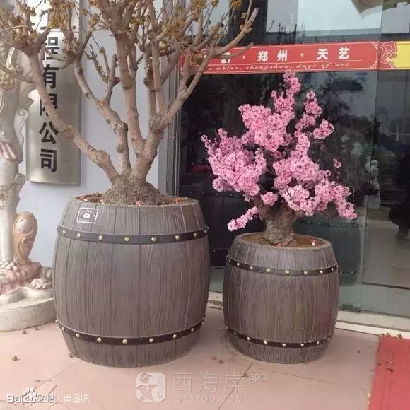 海边即将采用水泥仿木栏杆