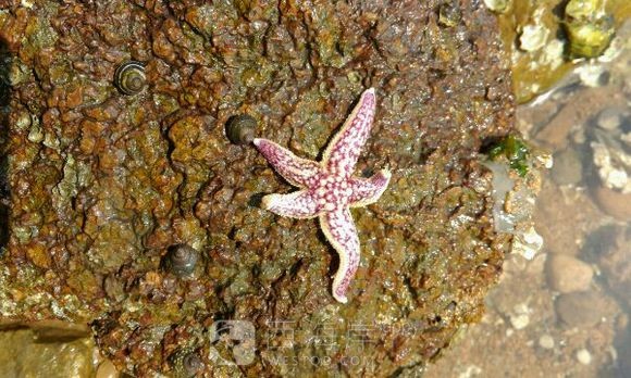 今天很幸运，幸运星