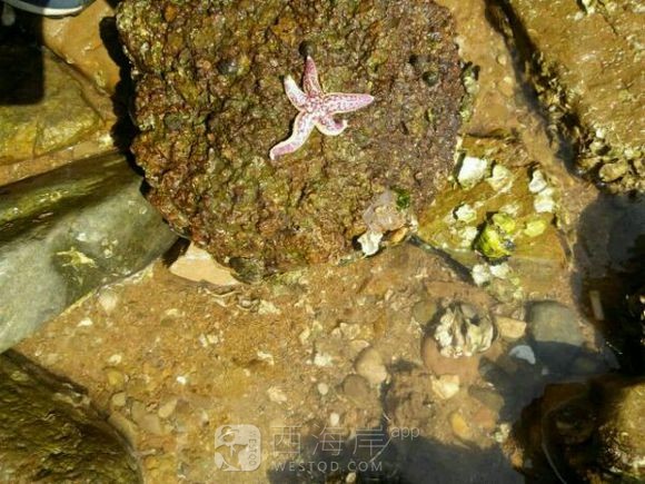 今天很幸运，幸运星