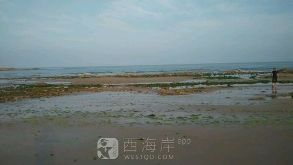 [业主家园]嘉陵江东路附近房子有出租的嘛？