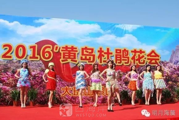 春游踏青好去处，赏花观海珠山行，一年好时节