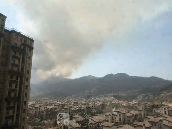 [生活杂谈]龙湖附近不知道什么原因起山火了