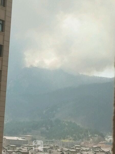 [生活杂谈]龙湖附近不知道什么原因起山火了