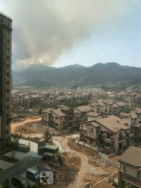 [生活杂谈]龙湖附近不知道什么原因起山火了