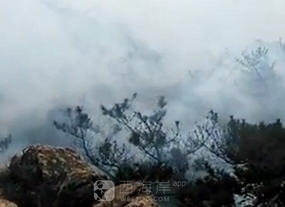 小珠山着火了是不是？