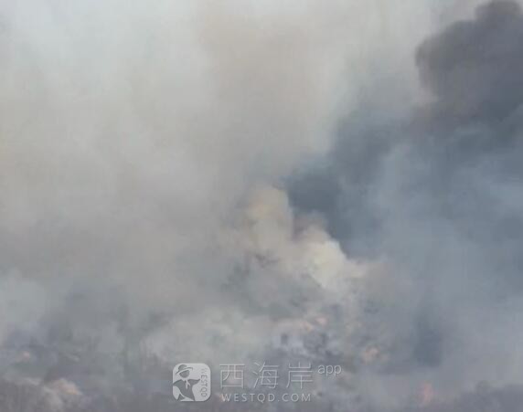 小珠山着火了是不是？