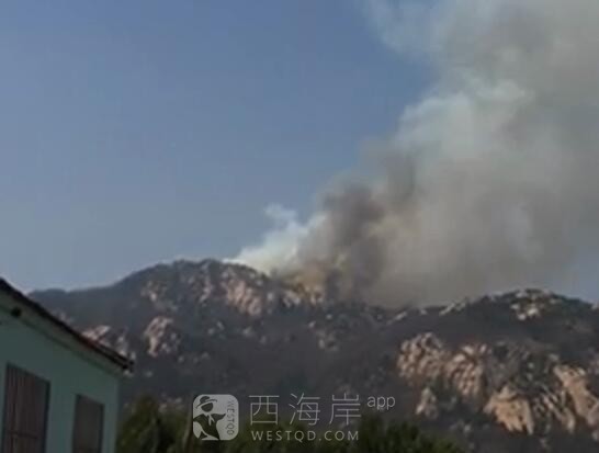 小珠山着火了是不是？
