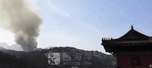 小珠山着火了是不是？