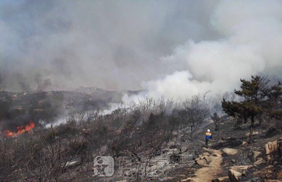 小珠山着火了是不是？