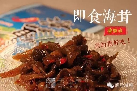 南极海茸哪里买？