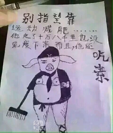 肥该减就得减 但是该吃还是得吃