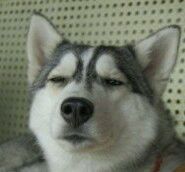 感觉再这样浑浑噩噩的过下去下半年的房租都交不起