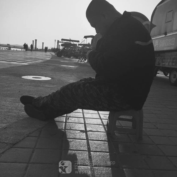 感谢网友对俺家胖子鱿鱼的支持