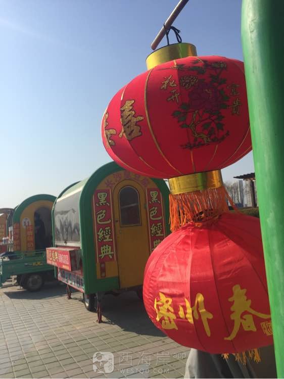 感谢网友对俺家胖子鱿鱼的支持