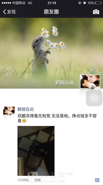 感谢网友对俺家胖子鱿鱼的支持